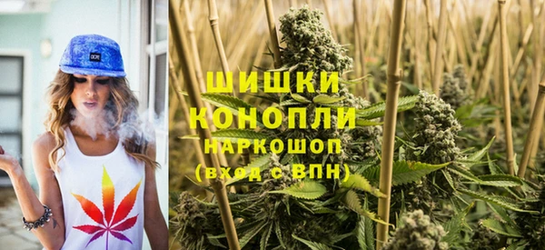 PSILOCYBIN Балабаново