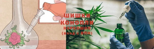 PSILOCYBIN Балабаново