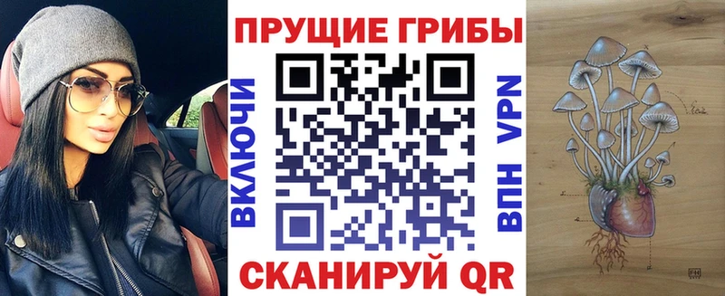 ссылка на мегу tor  где можно купить наркотик  Долгопрудный  Галлюциногенные грибы MAGIC MUSHROOMS 